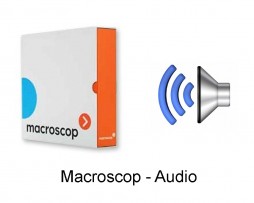 Лицензия Macroscop MC-LS-AUDIO обработки аудио потока на 1н канал компании "Оптимрус" в городе Краснодар